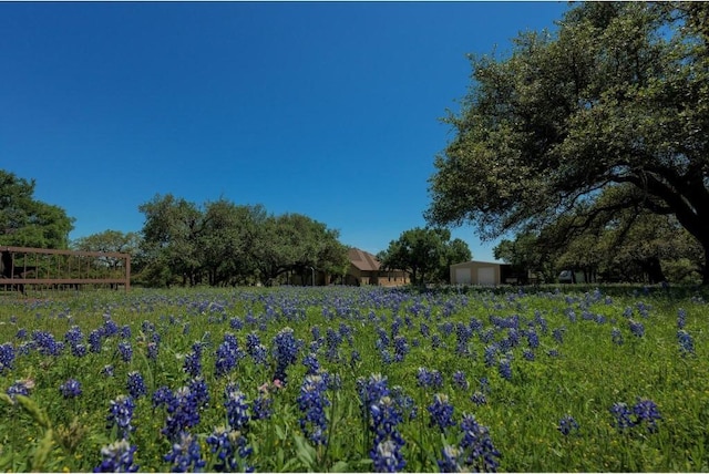 30201 Live Oak Trl, Georgetown, TX 78633 - photo 3