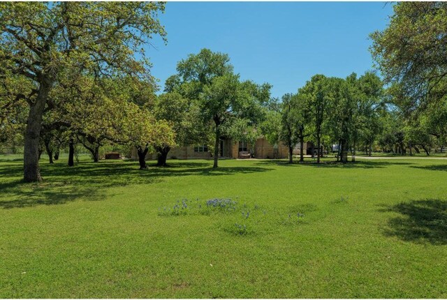 30201 Live Oak Trl, Georgetown, TX 78633 - photo 6