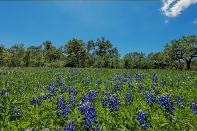 30201 Live Oak Trl, Georgetown, TX 78633 - photo 37