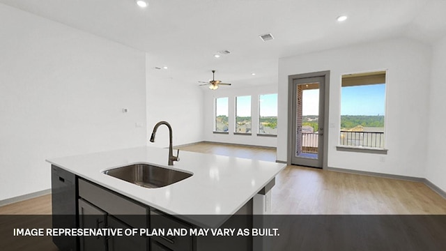 kitchen with black dishwasher, light hardwood / wood-style floors, sink, a kitchen island with sink, and ceiling fan