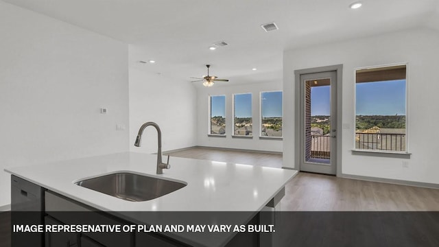 kitchen featuring ceiling fan, light hardwood / wood-style floors, plenty of natural light, and sink