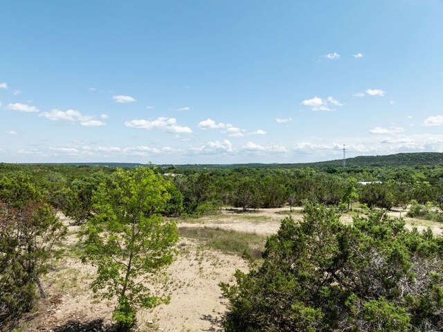 24906 Fawn Dr, Leander, TX 78641 - photo 36