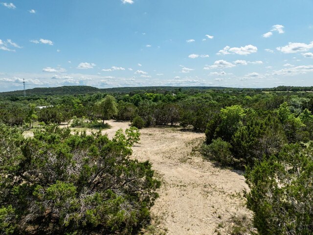 24906 Fawn Dr, Leander, TX 78641 - photo 37
