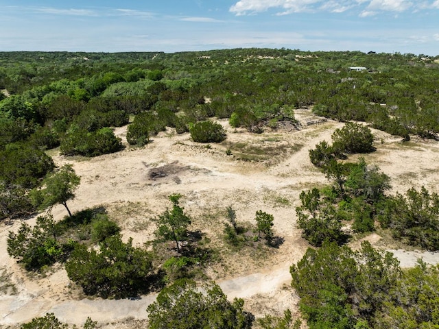24906 Fawn Dr, Leander, TX 78641 - photo 38