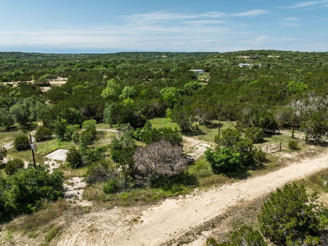 24906 Fawn Dr, Leander, TX 78641 - photo 39