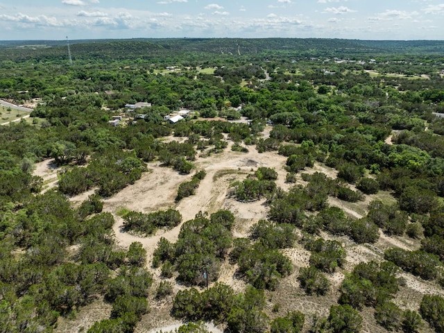 24906 Fawn Dr, Leander, TX 78641 - photo 2