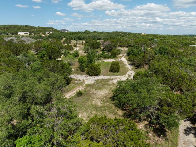 24906 Fawn Dr, Leander, TX 78641 - photo 4