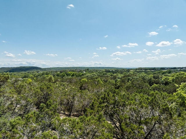 24906 Fawn Dr, Leander, TX 78641 - photo 33