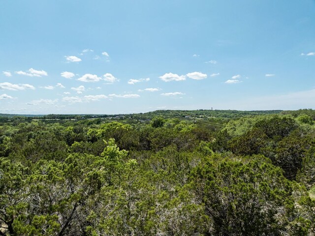 24906 Fawn Dr, Leander, TX 78641 - photo 34