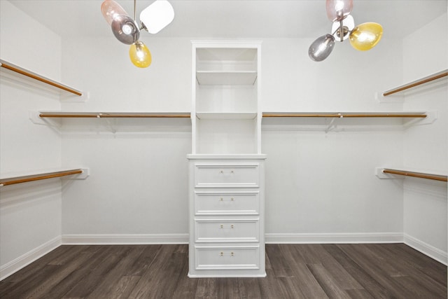 walk in closet featuring a chandelier and dark hardwood / wood-style flooring