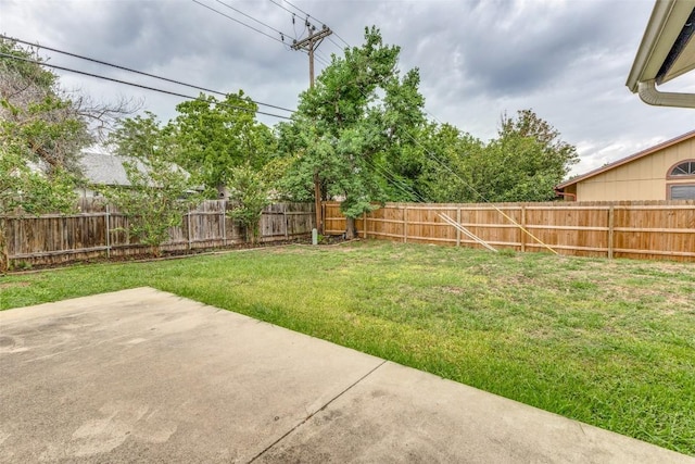 view of yard featuring a patio area