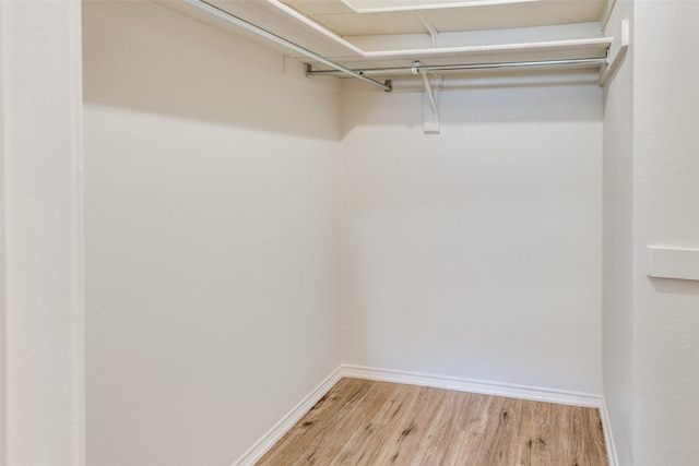 spacious closet with light wood-type flooring