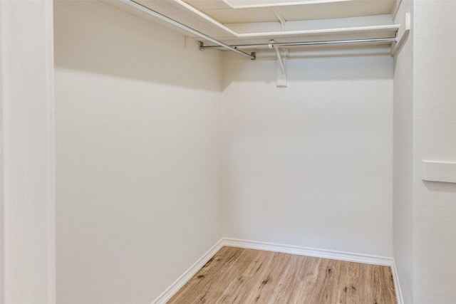 spacious closet with light hardwood / wood-style flooring