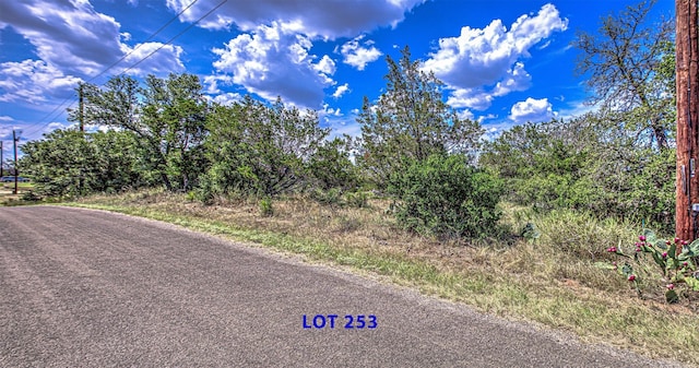 Listing photo 3 for LOT253 Briarway Dr, Granite Shoals TX 78654