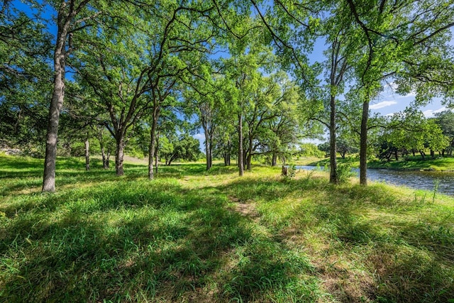 Listing photo 3 for 613 Cattle Creek Rd, Johnson City TX 78636