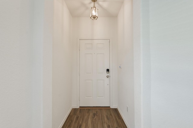 entryway featuring dark hardwood / wood-style flooring