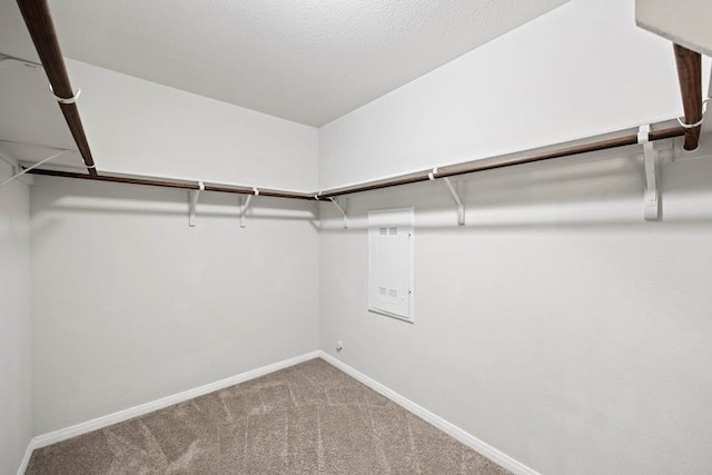 spacious closet with carpet