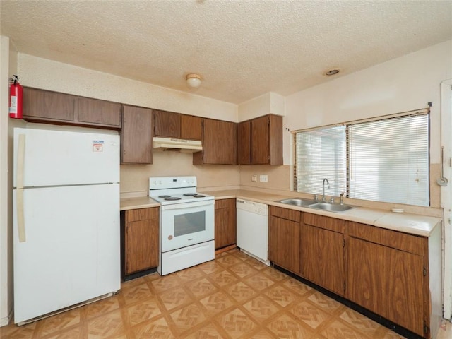 kitchen featuring a sink, white appliances, light floors, and under cabinet range hood