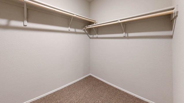 walk in closet featuring carpet flooring