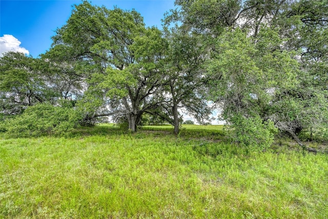 Listing photo 3 for 266 Miller Creek Blf, Briggs TX 78608