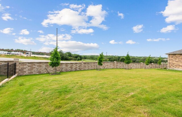 105 Riversong Cv, Georgetown, TX 78633 - view of yard