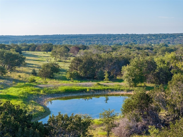 TBD Rm 963, Briggs TX, 78608 land for sale