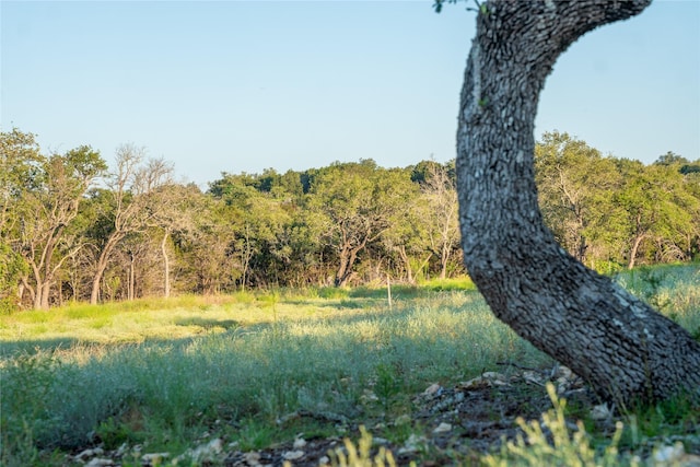 Listing photo 3 for TBD Rm 963, Briggs TX 78608