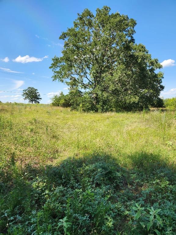 Listing photo 3 for LOT-2 Fm 2336, Bastrop TX 78602