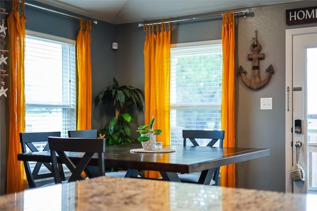 dining space with a healthy amount of sunlight