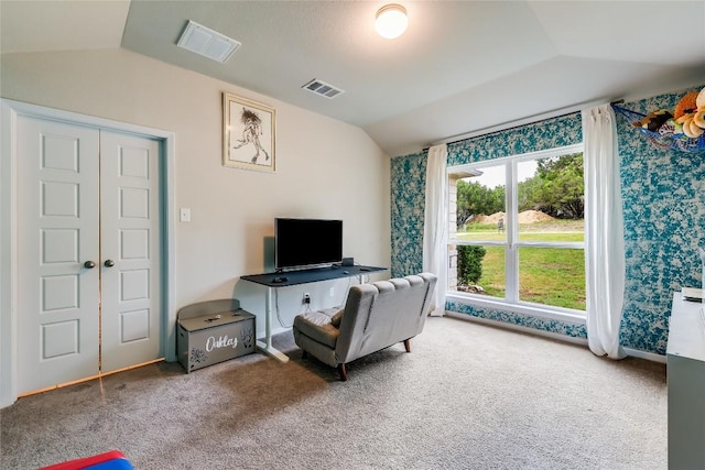 20400 Bear Rd, Lago Vista, TX 78645 - sitting room featuring vaulted ceiling and carpet floors