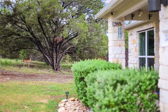 20400 Bear Rd, Lago Vista, TX 78645 - view of yard