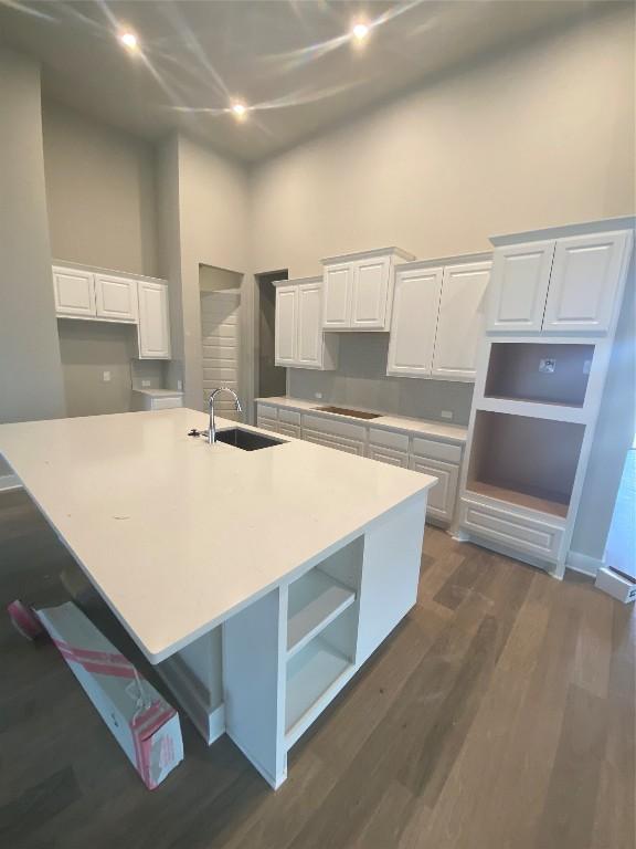 kitchen with white cabinetry, sink, and a large island with sink