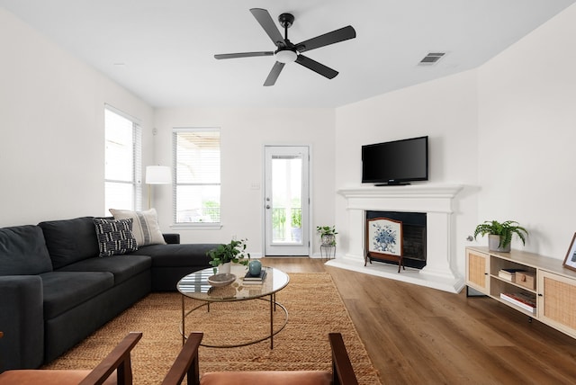 living room with ceiling fan, hardwood / wood-style floors, and a wealth of natural light