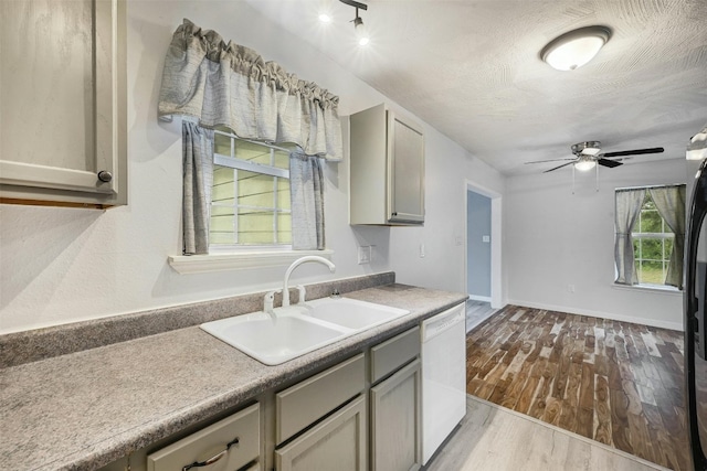 kitchen featuring gray cabinetry, sink, dishwasher, ceiling fan, and light hardwood / wood-style flooring