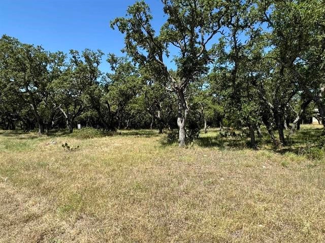 Listing photo 2 for 159 Axis Way, Lampasas TX 76550