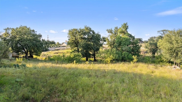 302 Lake Downs Dr, Granite Shoals, TX 78654 - photo 10