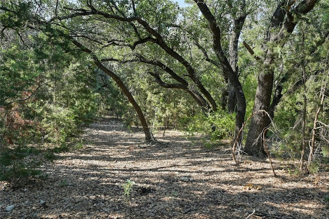 view of local wilderness featuring a view of trees