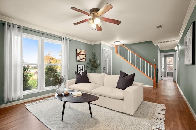 living room featuring hardwood / wood-style floors, crown molding, a wealth of natural light, and ceiling fan