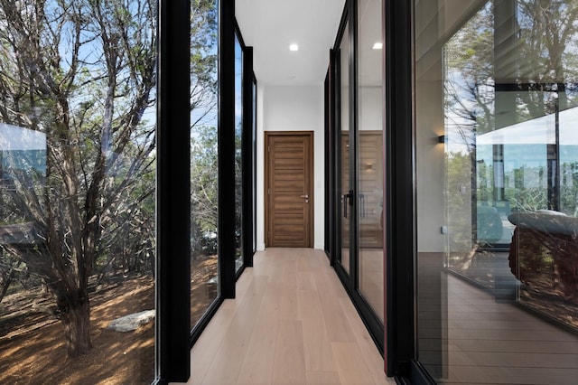 corridor featuring floor to ceiling windows and light hardwood / wood-style flooring