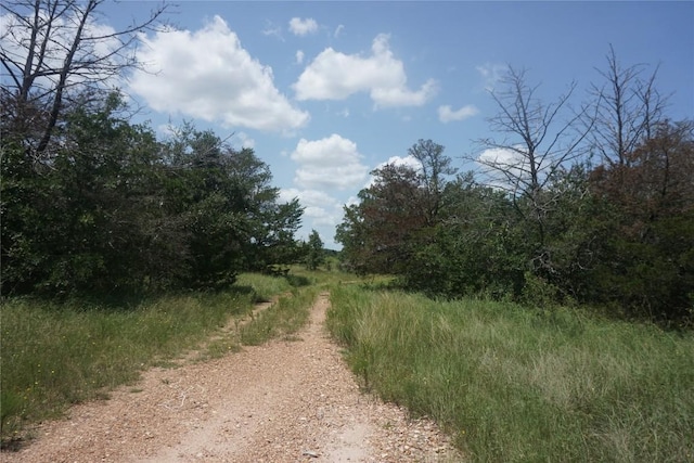 2200 Goehring Rd, Ledbetter TX, 78946 land for sale