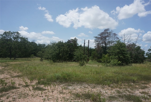 Listing photo 3 for 2200 Goehring Rd, Ledbetter TX 78946