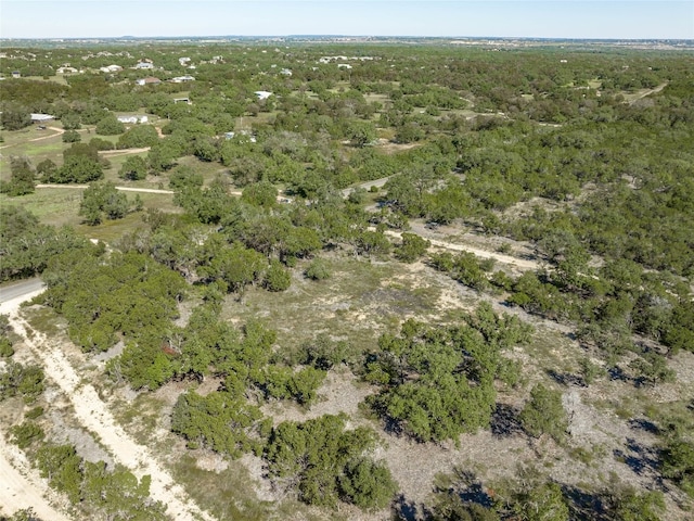 TBD County Road 281, Leander, TX 78641 - photo 29