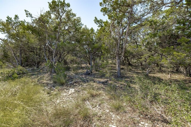 TBD County Road 281, Leander, TX 78641