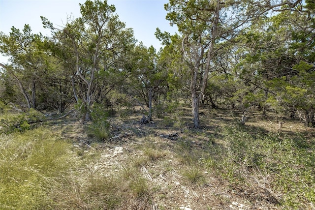 TBD County Road 281, Leander, TX 78641 - photo 1