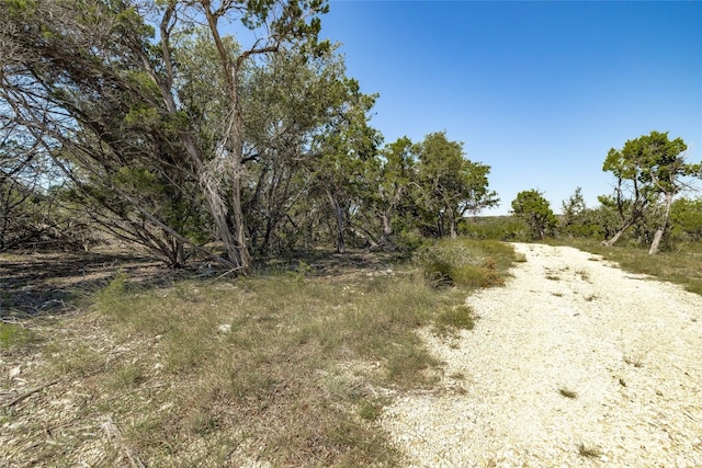 TBD County Road 281, Leander, TX 78641 - photo 12