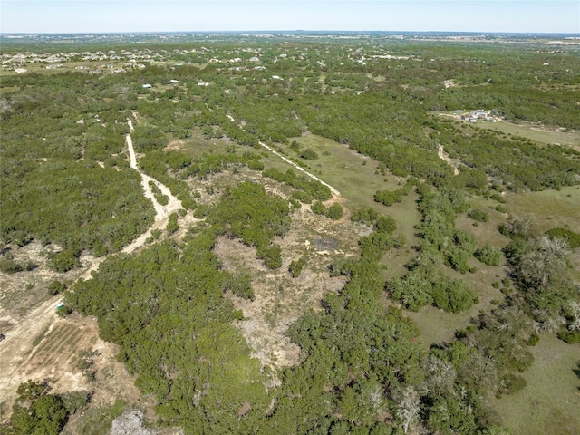 TBD County Road 281, Leander, TX 78641 - photo 19