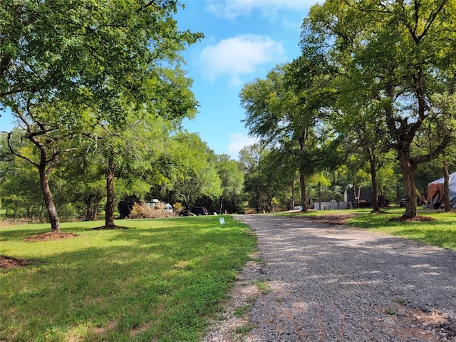 21004 Coleman Branch Creek Rd, Elgin TX, 78621 land for sale