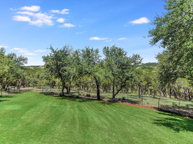 6000 Lantern View Dr, Jonestown, TX 78645 - view of yard