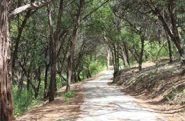 6000 Lantern View Dr, Jonestown, TX 78645 - surrounding community featuring a wooded view and dirt driveway