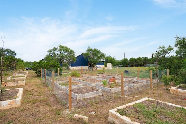 view of yard featuring a rural view and a vegetable garden